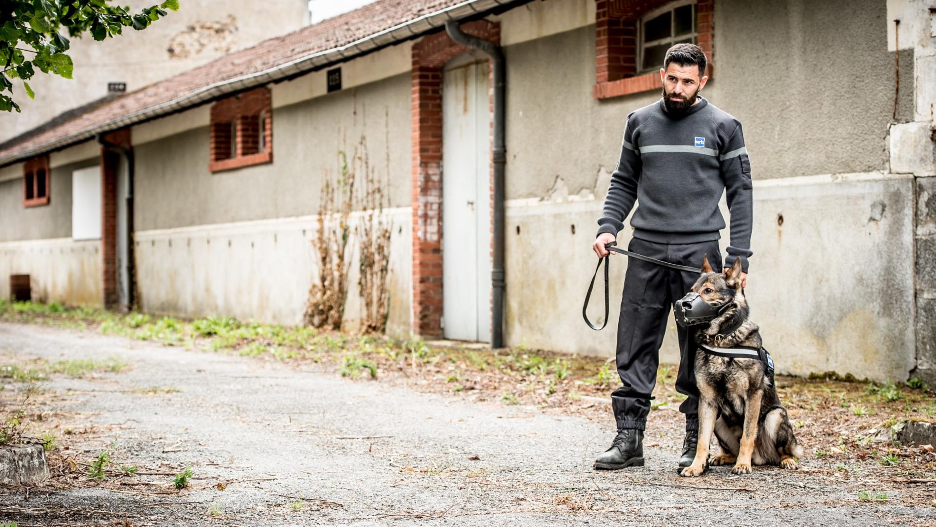 Image d'illustration du métier Agent de Sécurité Cynophile